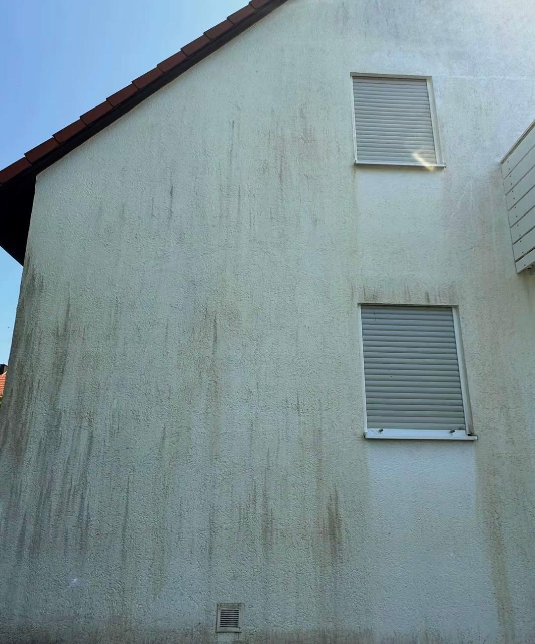 Aufbereitung von Mauern und Fassaden - Vorher